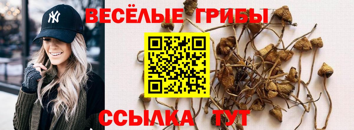 Галлюциногенные грибы мухоморы Выборг