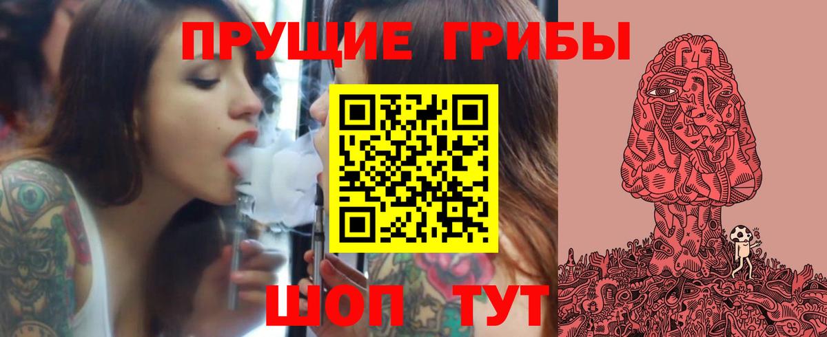 Выборг  Галлюциногенные грибы мухоморы  Вход с VPN 